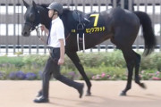 【競馬予想】[2]第74回ラジオNIKKEI賞(GⅢ) /2025