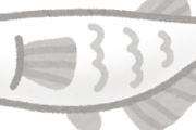 【おほ～＾＾】暇だからメダカか金魚飼いたいんやけどｗｗｗｗｗ