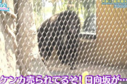 【日向坂46】ロケでお世話になったあの子がバズってるwwww