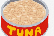 日本人さん、缶詰の主流が サンマ→イワシ　マグロ→カツオなどのダウンサイジング缶詰 になる