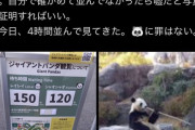 【画像】上野のパンダ、駆け込み客で大行列ができる。待ち時間エグくて草ｗｗｗｗ