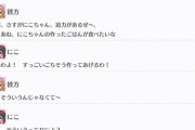 にこさん、彼方ちゃんの誕生日を祝わせて貰えない【毎日劇場】