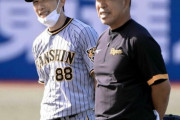 阪神・新外国人ロドリゲスは「一塁」矢野監督が明言　大山は「レフトの方がいいかな」