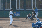 【2軍】日ハムヌニエス、9回2死から今日2本目となる逆転3ランホームラン！！！！！
