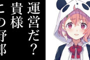 Vtuber 【笹木咲】配信頻度は今と変わらず少ないままと公言 もう昔のようには戻らんのか・・・？