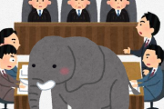 動物愛護団体「象は賢いから人だ！」 NY州最高裁「人ではない」