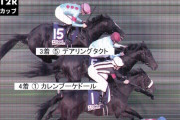 【ジャパンカップ】4着カレンブーケドール津村「スタート悪かったのに前の３頭と差のない競馬ができた」