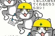 【悲報】現場猫、韓国デビュー