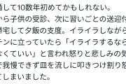 【家庭内DV？】皿投げる妻…理由がしょうもなさすぎて引いたわｗｗｗｗ