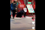 【動画】パチンコで全額失ったおっさん、店の前で咽び泣く