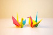 【悲報】4chanの「Origami」とかいう板を覗いた結果ｗｗｗｗｗｗｗｗ