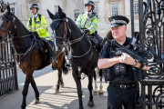 イギリスでは警察馬も朝に紅茶を嗜み出勤していたことが判明wwwww