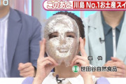 なんの仮面だwww『金川紗耶×きつね』ラヴィット！で謎の小道具wwwwww【乃木坂46】