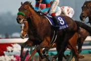 ●有馬記念の本命、決まらない