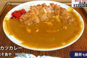 【悲報】藤井聡太7段、昼ご飯にカツカレー(980円)を注文してしまう