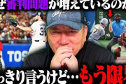 高木豊さん「今の球は人間の審判が判定できるスピードじゃない。AIを導入すべき」