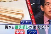 【悲報】TBSサンデージャポンが「街から割り箸が消える」と買い占めを煽る