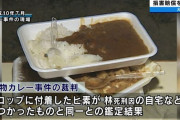 和歌山カレー事件の真犯人ってずっとビビった生活してるんだろうか？
