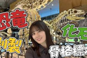 【大迫力】恐竜の骨格標本や化石、動物の剥製まで！小坂菜緒が西日本最大級の総合博物館に行ってみた！【真夏の自由研究】