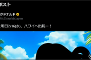 【ホロライブ】船長とマックコラボ来るじゃん