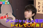 【悲報】「多目的トイレ」さん、間違った使い方を避けるために何故か名称するWWlWWlWWlWWlWWlW