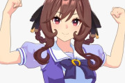 【ウマ娘】これは、ただの可愛くて胸大きくて力すごい女の子。