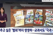 韓国メディア「"戦犯の惨状" 生々しく描かれる ... ドイツと日本、教科書も "極と極"」韓国の反応