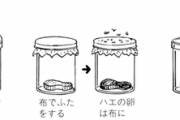 1668年の科学者「コバエが肉から自然発生してるのかどうか知るための実験思いついたで！」