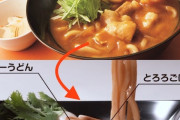 【画像】豊橋カレーうどんという激ウマグルメ