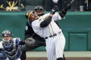 阪神マルテが開幕３番オレ弾！矢野監督は選定に悩む