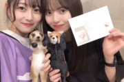 【乃木坂46】齋藤飛鳥との人形劇は向井葉月のインスタリールで全編公開予定だとよ！