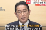 岸田首相｢ガソリン175円程度に抑える｡電気･ガス料金の補助金も延長しますよー｣