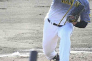 佐藤輝に負けない、阪神ドラ３佐藤蓮２段モーションで制球↑　大化けの予感