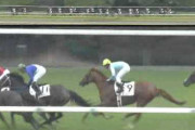 2010年くらいから急激に競馬がつまらなくなったのは何故なのか？?