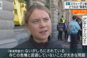 グレタさん(環境を守りたいです、可愛いです、頑張ってます)←批判される理由