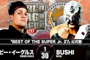 『BEST OF SUPER Jr. 27』ロビー・イーグルスvsBUSHI 【11.23群馬】