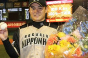 2013武田久 防御率2.28 47試合 2勝 2敗 31S 被打率.322 与四球率3.04 WHIP1.69