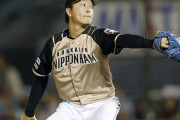 日ハムは北海道出身者だけでチームつくってよ