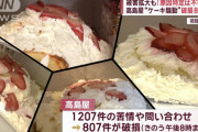 【悲報】日本人「うわぁぁ！松本がぁ！高島屋のケーキがぁ！やべぇぇ！(連日トップニュース」←これww