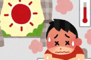 東京23区でここ1か月で熱中症で亡くなった数〇〇人、半数はエアコンを使用せず････