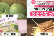 【朗報】キャベツの価格が大暴落。ついに100円台の店も