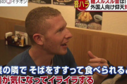 【悲報】外国人さん、感想を述べただけで普通の日本人から袋叩きにされてしまうｗｗｗｗｗｗｗｗｗｗｗｗｗｗｗｗ
