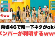日向坂で唯一下ネタがokなメンバーが判明するwww 〇平尾帆夏　立候補する(ここ数日の日向坂情報)