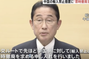 【悲報】岸田首相「日本の水産物輸入禁止を受け中国に即時撤廃を申し入れた」