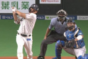西武の外野ドングリーズの争い、終結する！
