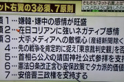 ワイ元ネトウヨ、ネトウヨが嫌いすぎる