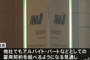【悲報】全日空「CAさん、バイトしてくれ」