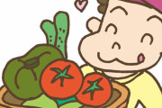 【愕然】日本の若者の「野菜離れ」、ガチで深刻になった結果ｗｗｗｗｗ