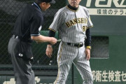 阪神岡田、7回完全試合中のピッチャーに代打を出すｗｗｗｗｗｗｗｗｗｗｗｗｗｗｗｗｗｗｗｗｗ