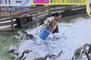 カンニング竹山、“ペンギン池落下騒動”に「炎上から謝罪の1セットが気持ち悪い」「抗議する必要あるか」【波紋】
